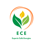Experts Calls Energies