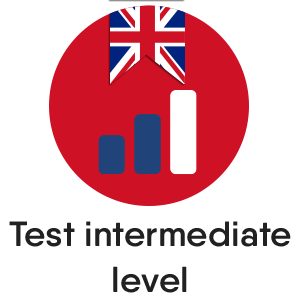 English test - Intermediate Level
